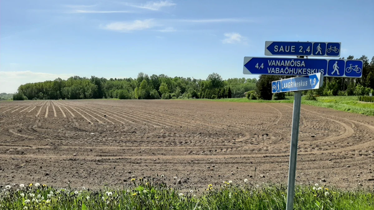 Risttee. Foto: Tormi Tabor