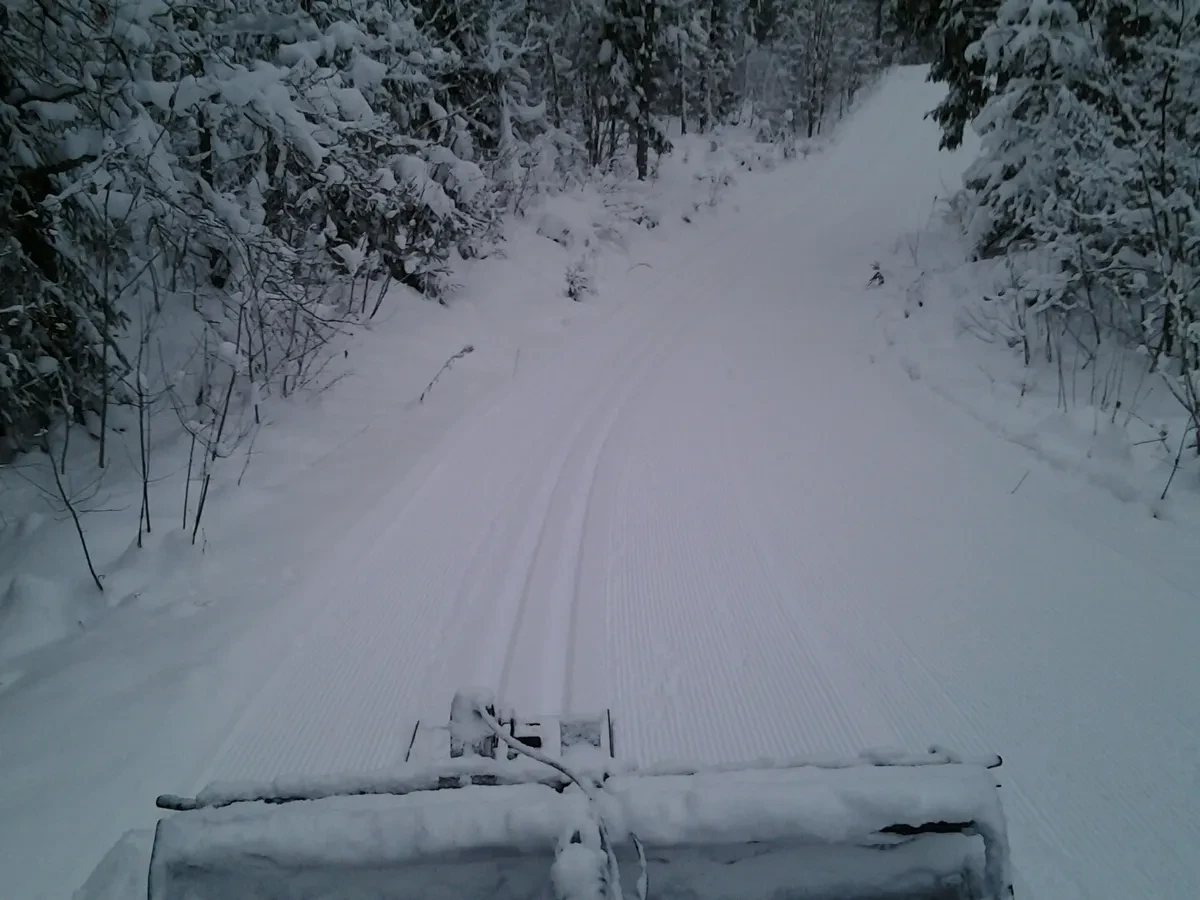 Alema terviserada talvises metsas