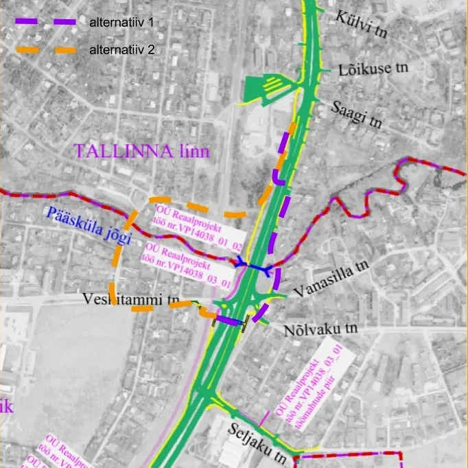 Kaart Veskitammi liiklussõlme jalakäijate ja jalgratturite alternatiividest
