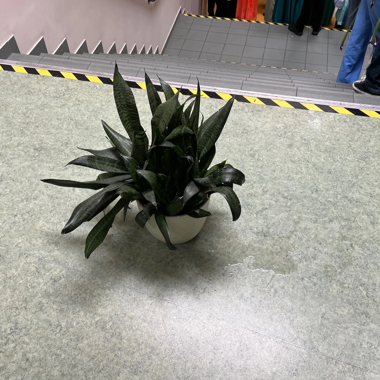 Laagri Kooli põrand