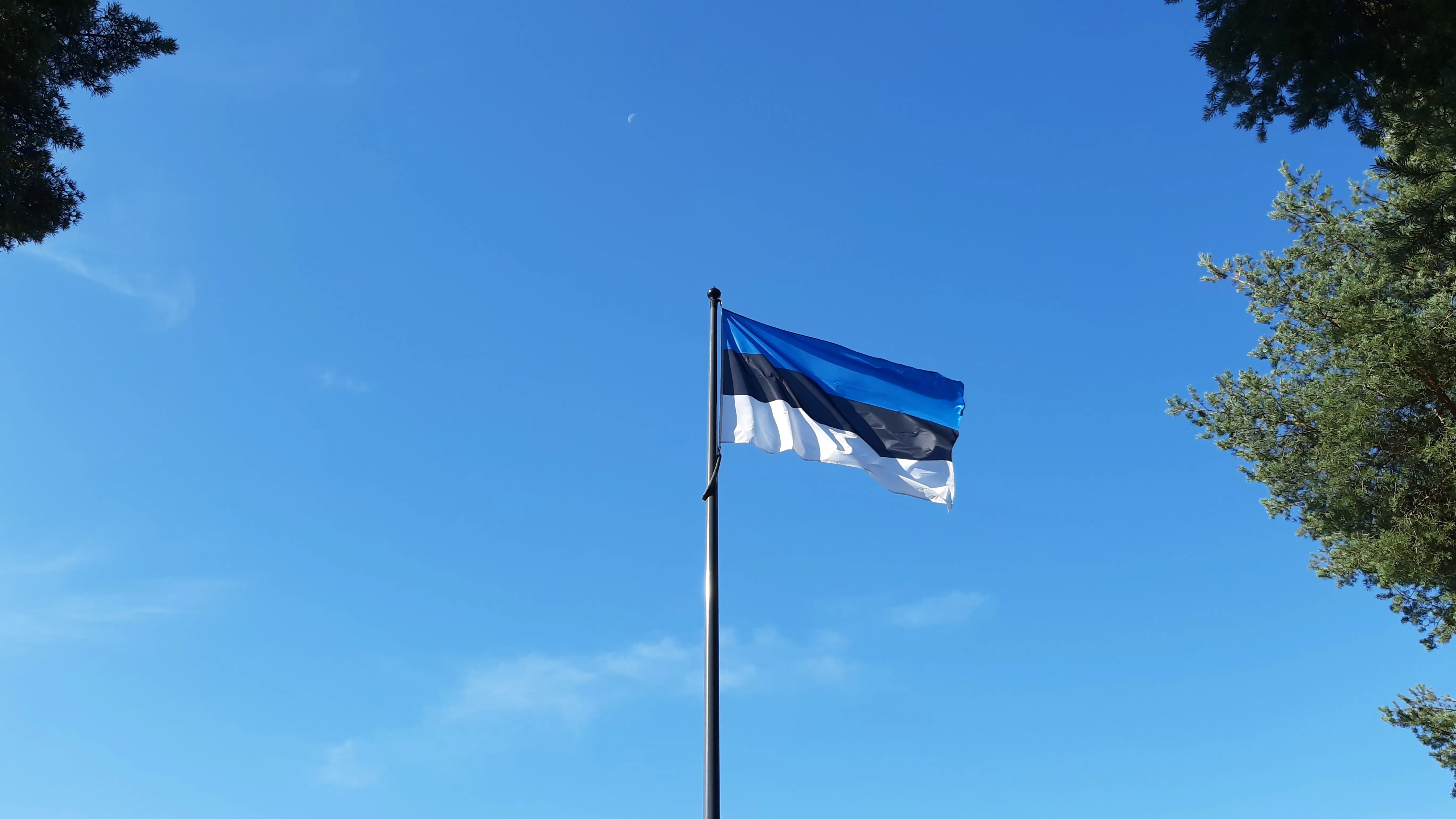 Eesti Vabariigi lipp. Foto: Tormi Tabor