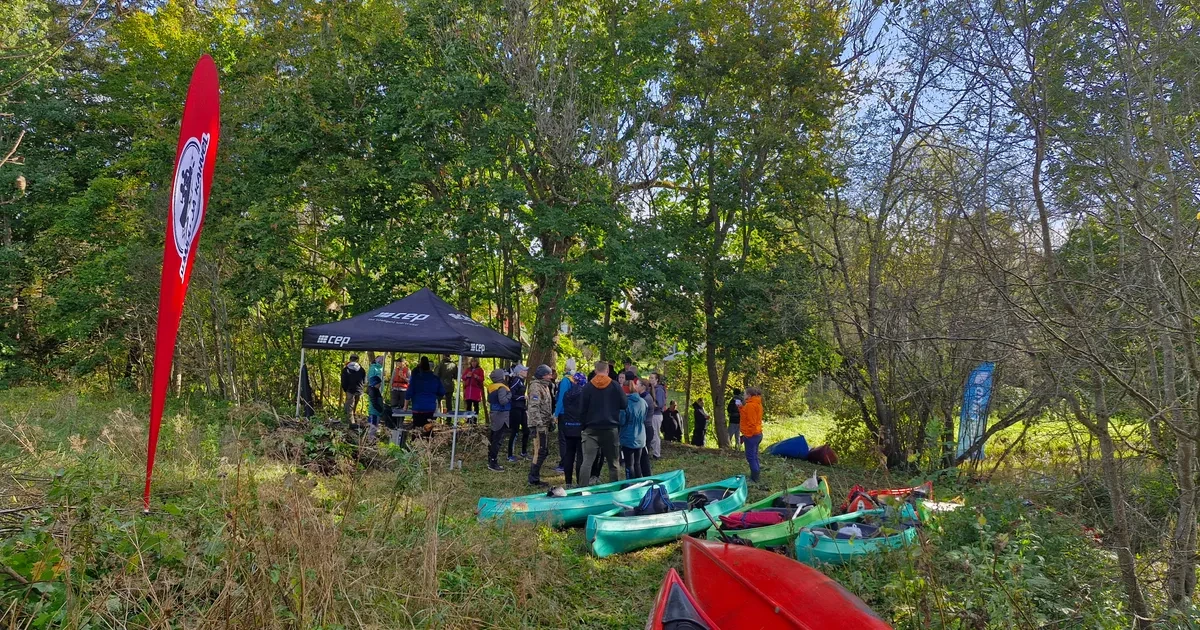 Telliskople rand koos põlistammedega